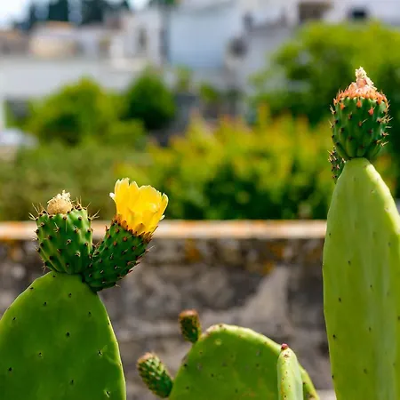 Residenza Storica Parco Lanoce Daire Poggiardo